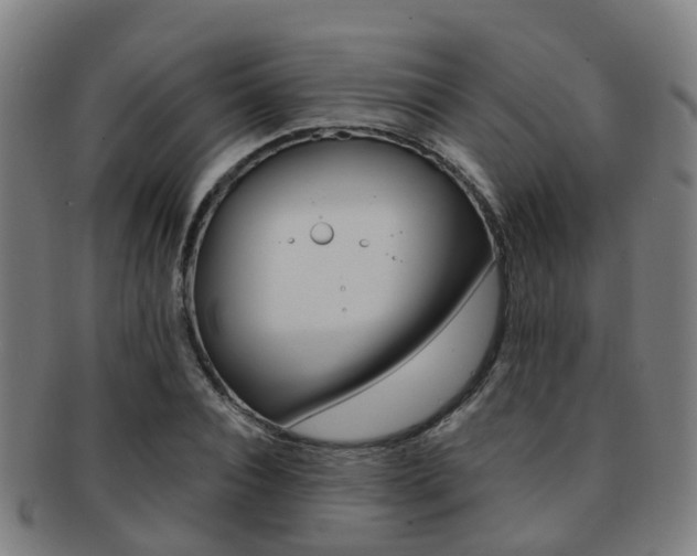 X0000091880928200709051012