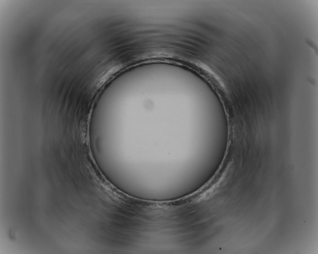 X0000091880929200709051012