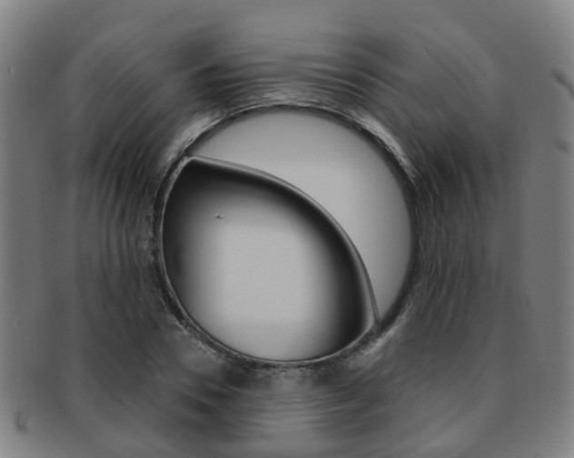X0000091880930200709051012