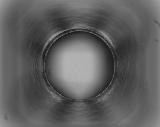 X0000091880931200709051012