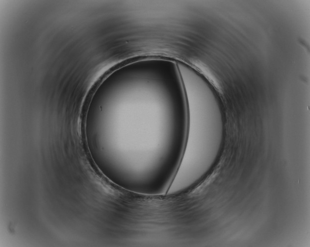X0000091880932200709051012
