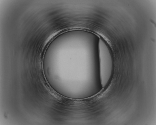 X0000091880933200709051012