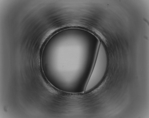 X0000091880934200709051012