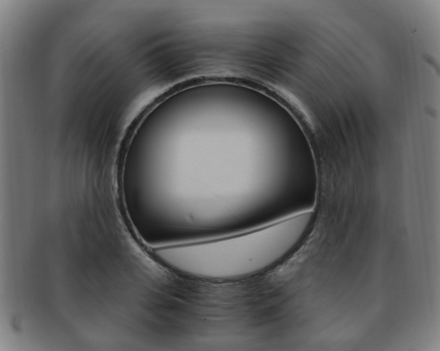 X0000091880935200709051012