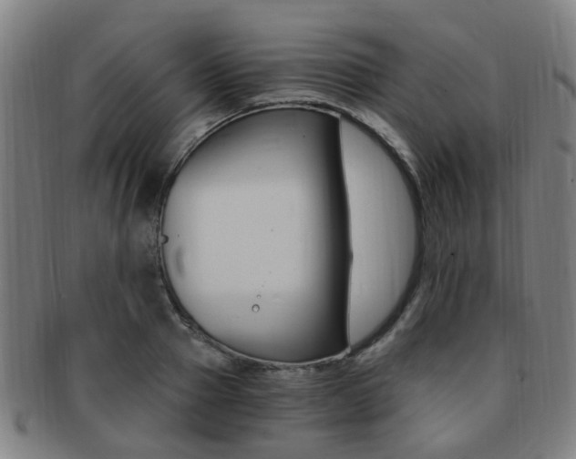 X0000091880937200709051012