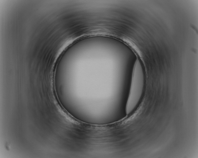 X0000091880941200709051012