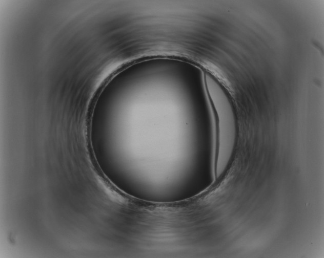 X0000091880942200709051012