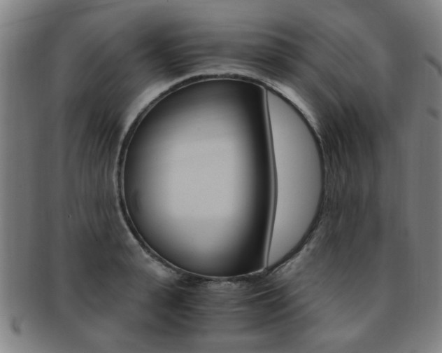 X0000091880943200709051012