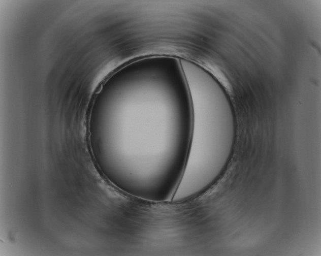 X0000091880944200709051012