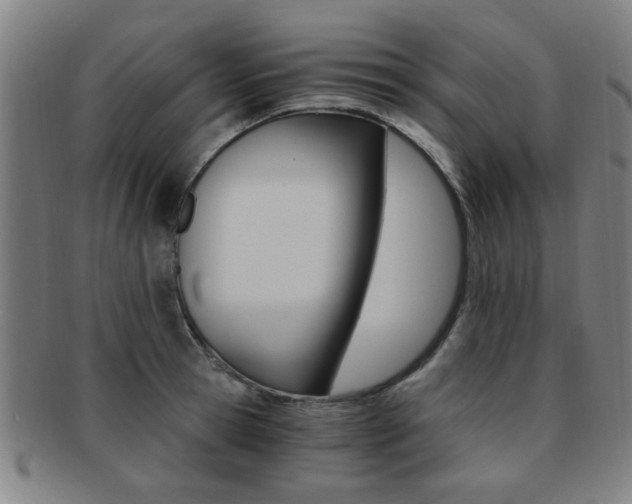 X0000091880945200709051012
