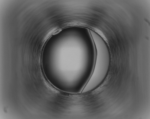 X0000091880946200709051012