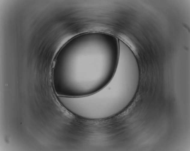 X0000091880948200709051012
