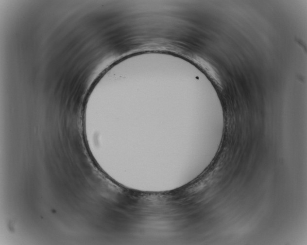 X0000091880950200709051012