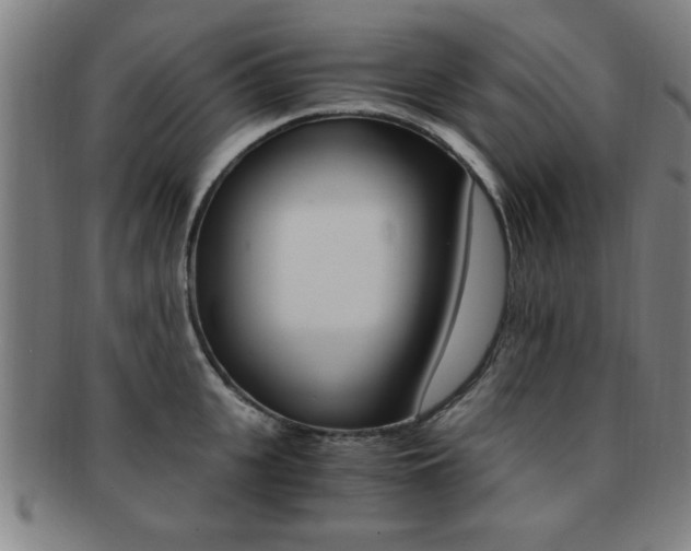 X0000091880951200709051012