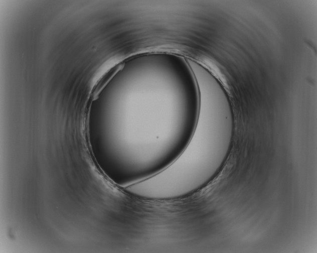 X0000091880952200709051012