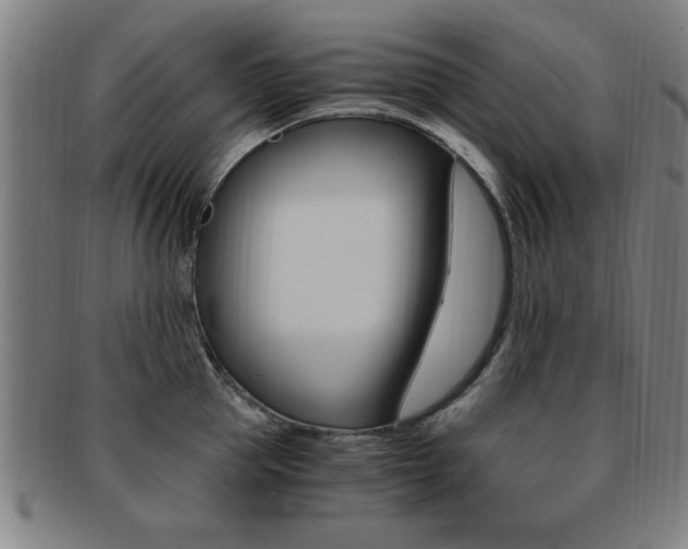 X0000091880953200709051012