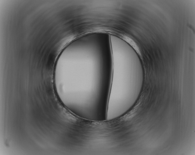 X0000091880954200709051012