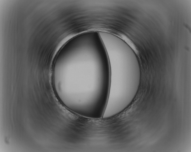 X0000091880955200709051012