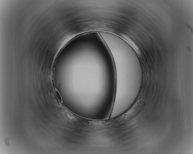 X0000091880956200709051012