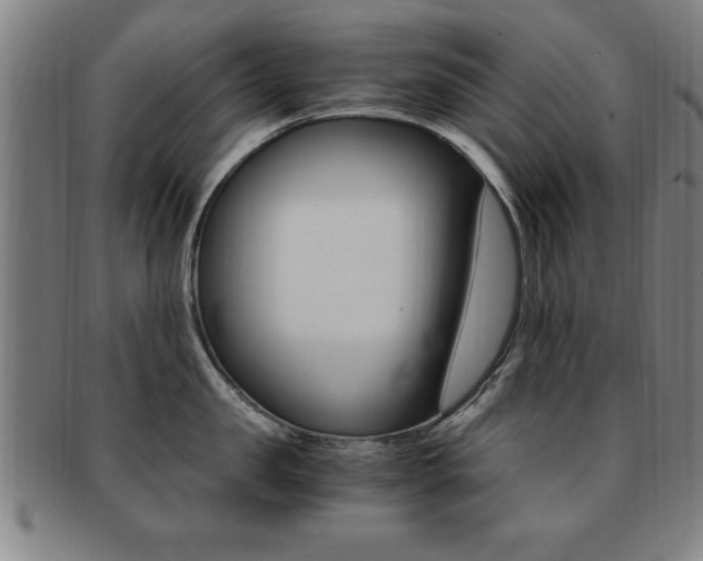 X0000091880957200709051012