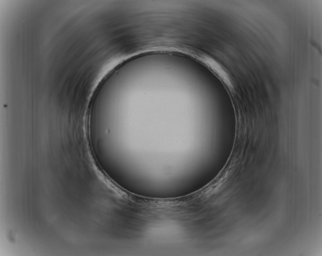 X0000091880958200709051012