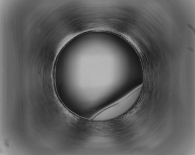 X0000091880959200709051012