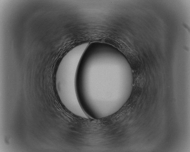 X0000091880961200709051011