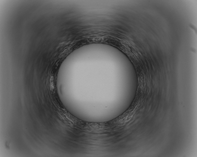 X0000091880962200709051011