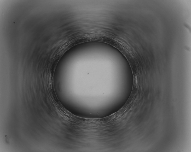X0000091880963200709051011