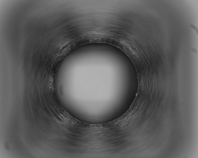 X0000091880964200709051011