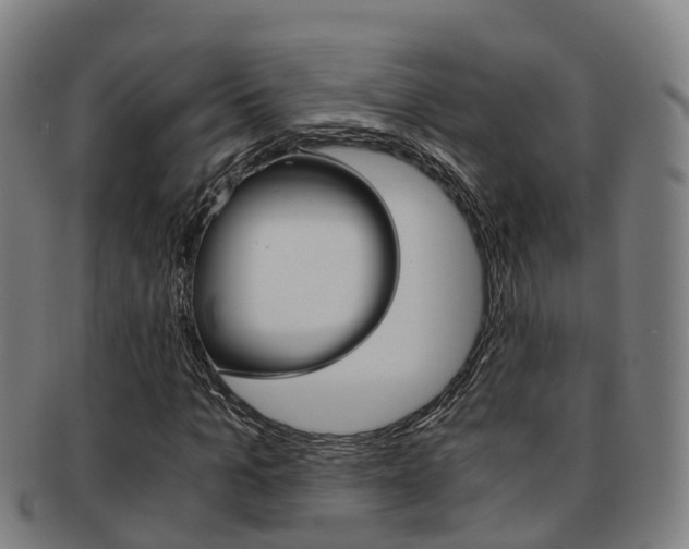 X0000091880965200709051011