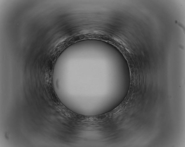 X0000091880966200709051011