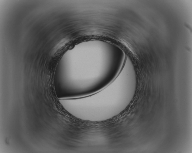 X0000091880967200709051011
