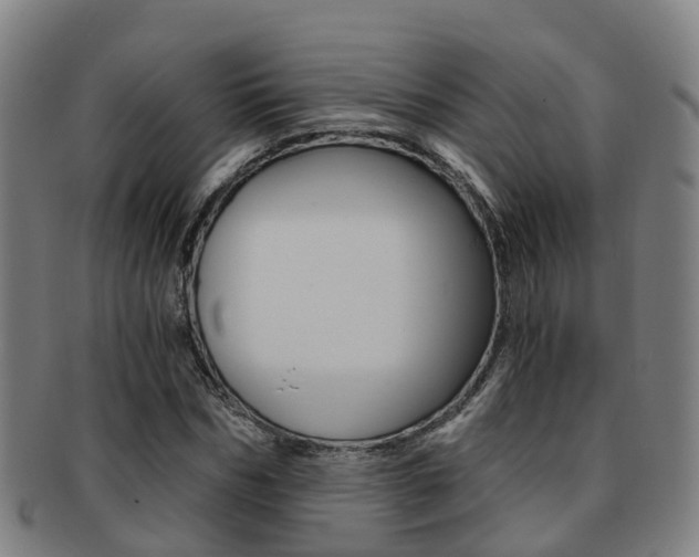X0000091880970200709051011