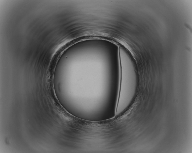 X0000091880971200709051011