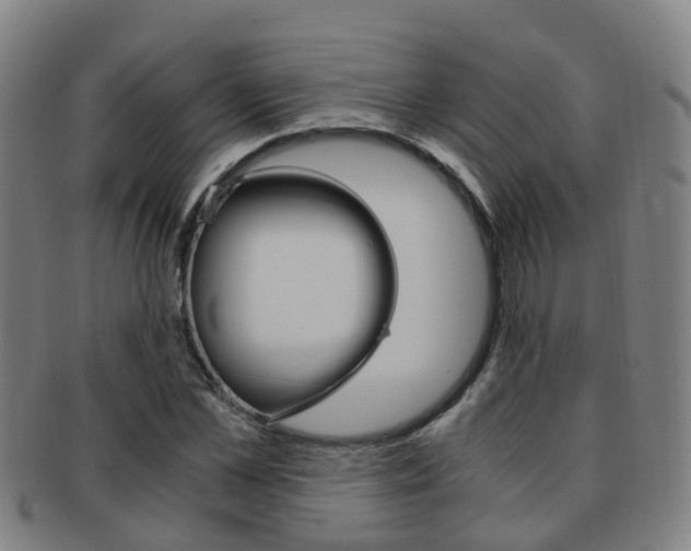 X0000091880973200709051011