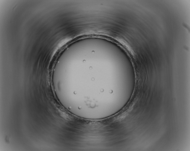 X0000091880974200709051011