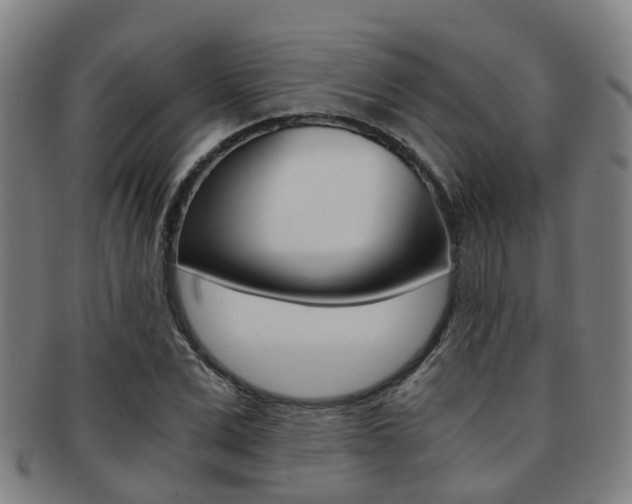 X0000091880975200709051011