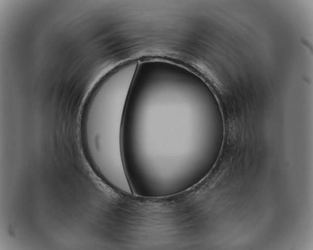 X0000091880976200709051011