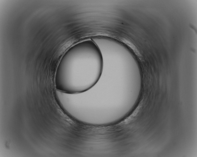 X0000091880977200709051011