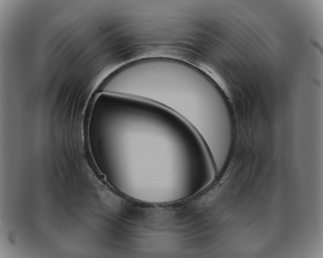 X0000091880980200709051011