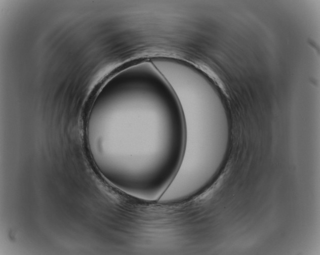 X0000091880981200709051011