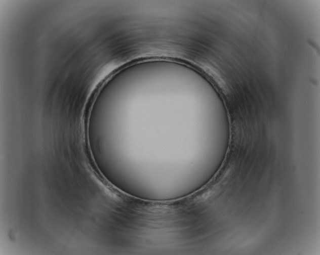 X0000091880982200709051011