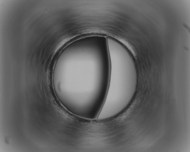 X0000091880983200709051011