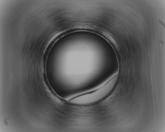 X0000091880984200709051011