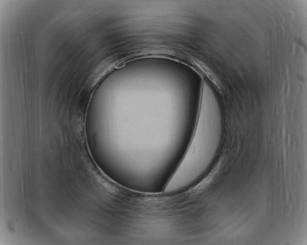 X0000091880985200709051011