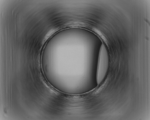 X0000091880986200709051011