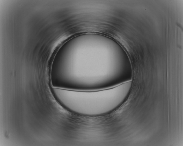 X0000091880987200709051011