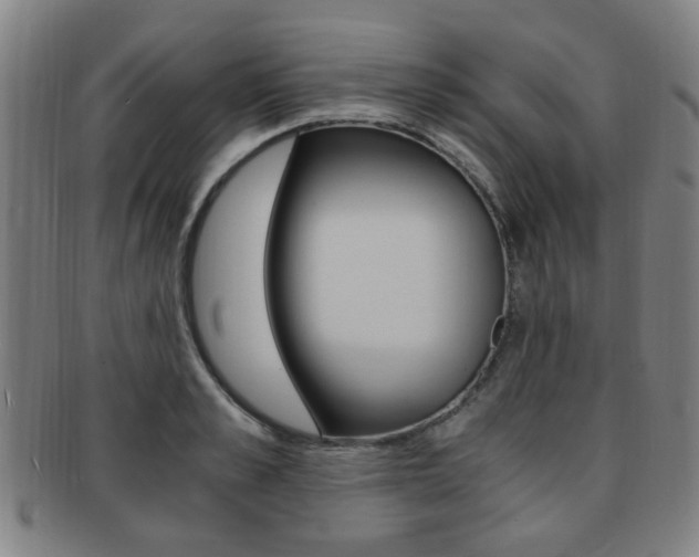 X0000091880989200709051011