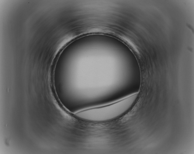 X0000091880991200709051011